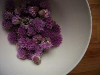 Chive Wallpaper Wednesday To Make Blossom Vinegar