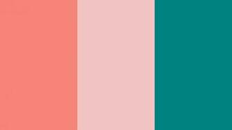 Tea Rose Orange And Teal Three Color Background