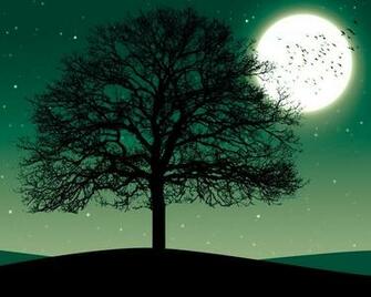 Marvelous Wallpaper Good Night Sweet Dreams