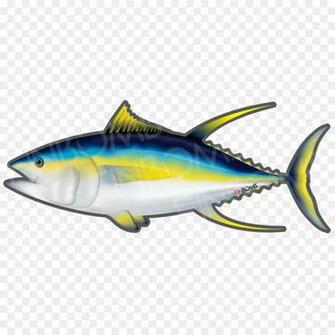 Shark Fin Background Clipart Fish Transparent Clip Art