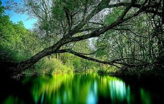 3d Nature Wallpaper Desktop For Windows Background