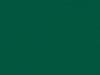Sacramento State Green Solid Color Background