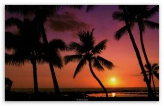 Tropical Sunset HD Wallpaper For Standard Fullscreen Uxga Xga