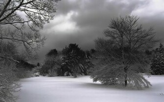 Winter Night Wallpaper