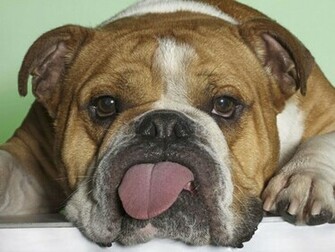 Funny Collection World Find The Best Funniest All