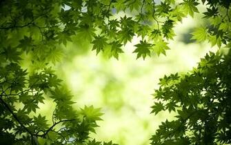 HD Green Wallpaper