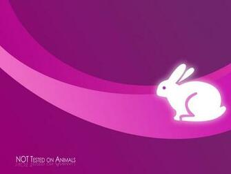 Vegetarian Wallpaper Pink By Shmoolikipod
