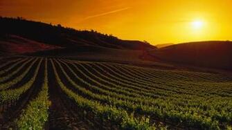 These Image Will Make You Want To Honeymoon In California