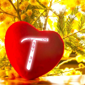 Letter T Wallpaper