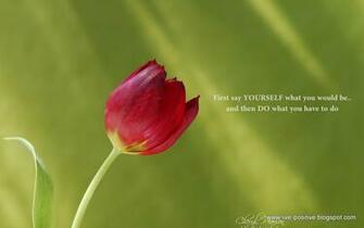 Positive And Inspirational Quotes Funny