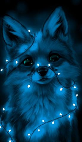 Sebesty N Viola On R K Cute Animal Drawings Kawaii