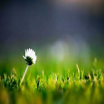 Wallpaper Various Whatsapp