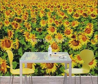 Sunflower Photo Wallpaper Guangzhou In