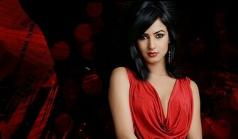 Sonal Chauhan Wallpaper