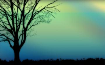 Silhouette Wallpaper For Your Desktop