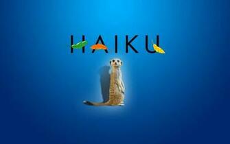 Haiku Os Meerkat Wallpaper By Walentywalewski