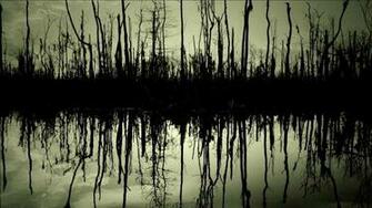 Swamp Background
