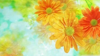 Colorful Flowers Wallpaper