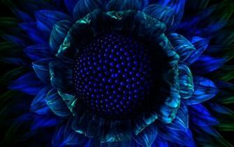 Beautiful Wallpaper And Screensavers Image
