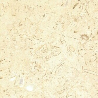 Cream Color Background