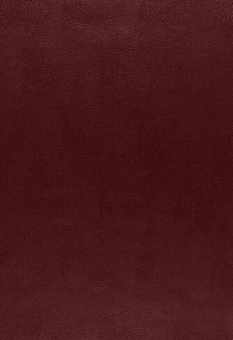 Canyon Leather Bordeaux By Schumacher Wallpaper