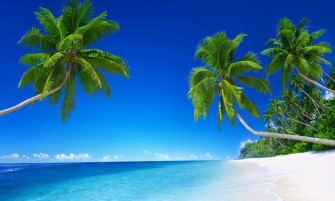 Tropical Beach Paradise Wallpaper Mural Marmalade Art