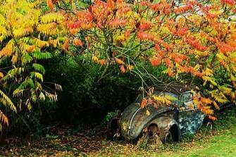 Abandoned Car Wallpaper
