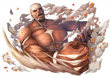 Attack On Titan Anime Colossal Wallpaper Cool