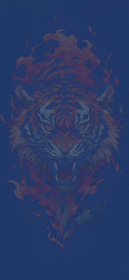 Fierce Tiger Cool Wallpaper Wild Animals iPhone