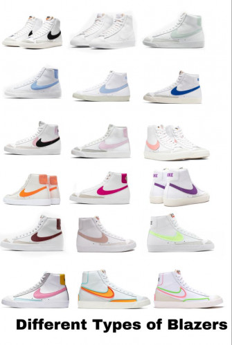 Different Types Of Shoes Nike Blazers Color Logo