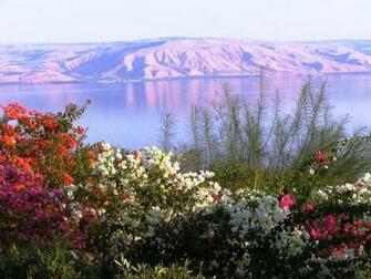 Kinneret Lake Israel Wallpaper