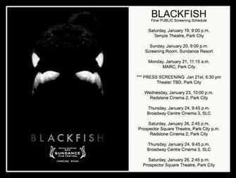 Op Ed Mystery And Intrigue Surrounds Premiere Of Blackfish At