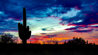 Saguaro National Park Clouds Landscape Nature Usa