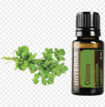 Doterra Tea Tree Uses Png Image With Transparent Background Toppng