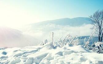 Winter Wallpaper High Resolution With
