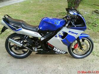Yamaha Tzm Picture