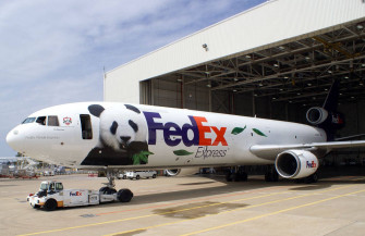 Fedex Panda Express Icstlpi302dxfya0 Wallpaper