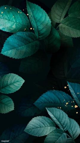 Green Foliage Pattern Mobile Phone Wallpaper 4k iPhone