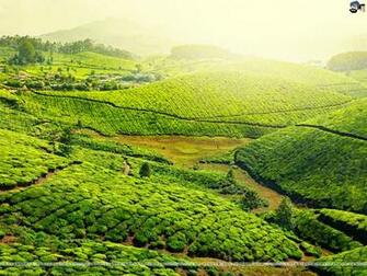 Kerala HD Wallpaper