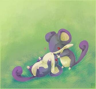 Rattata Wallpaper Pixshark Image Galleries