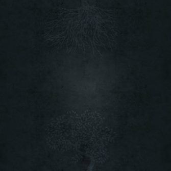 iPad Wallpaper Lock Screen Home