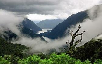 Mist Wallpaper Landscape Nature In Jpg Format For