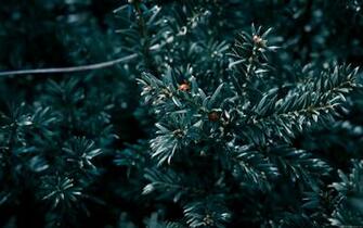 HD High Definition Wallpaper Quality Desktop