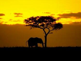 South African Land Scape Wallpaper Background