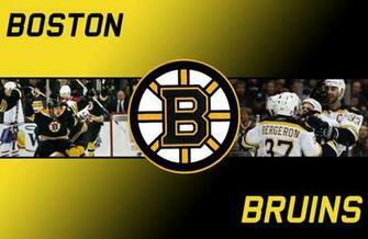 Wallpaper Bruins HD