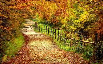 Autumn Scenes Desktop Wallpaper