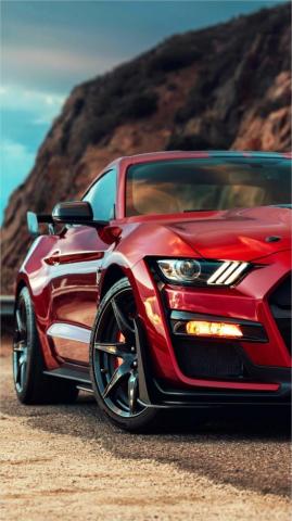 Mustang Gt500 Wallpaper 4k In Ford Shelby