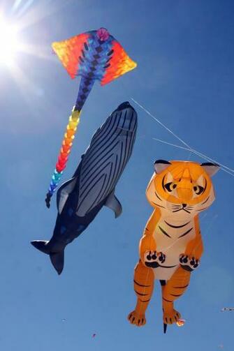 Kites Wallpaper New
