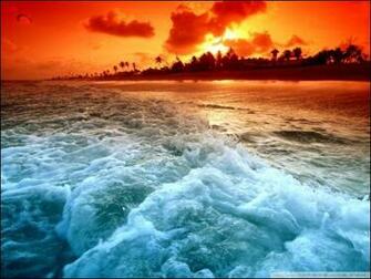 Beautiful Beach Wallpaper Designs To Brighten Up Your Day