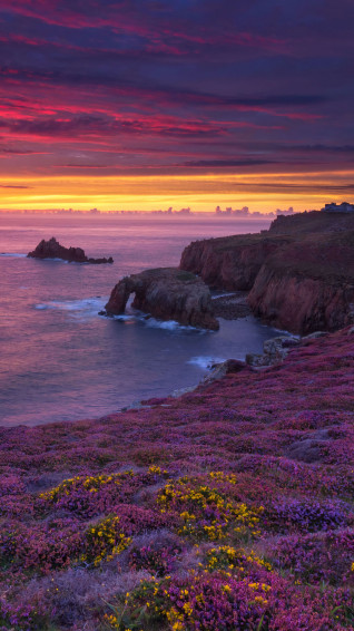 Sunset Beach Flower Field Scenery 4k Wallpaper iPhone HD Phone 5510f